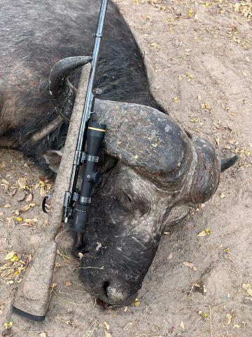 Leopard Hunting in Namibia & Brown Hyena Cancelation Hunt