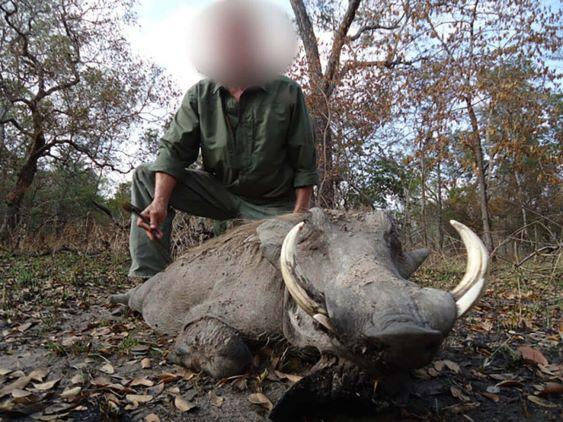 Leopard Hunting in Namibia & Brown Hyena Cancelation Hunt