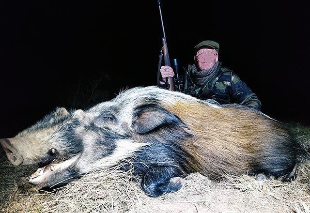 Leopard Hunting in Namibia & Brown Hyena Cancelation Hunt