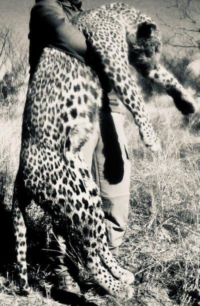 Leopard Hunting in Namibia & Brown Hyena Cancelation Hunt