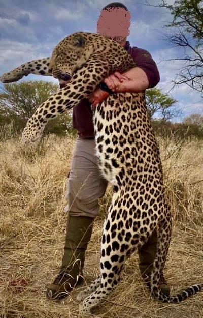 Leopard Hunting in Namibia & Brown Hyena Cancelation Hunt