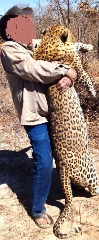 Leopard Hunting in Namibia & Brown Hyena Cancelation Hunt