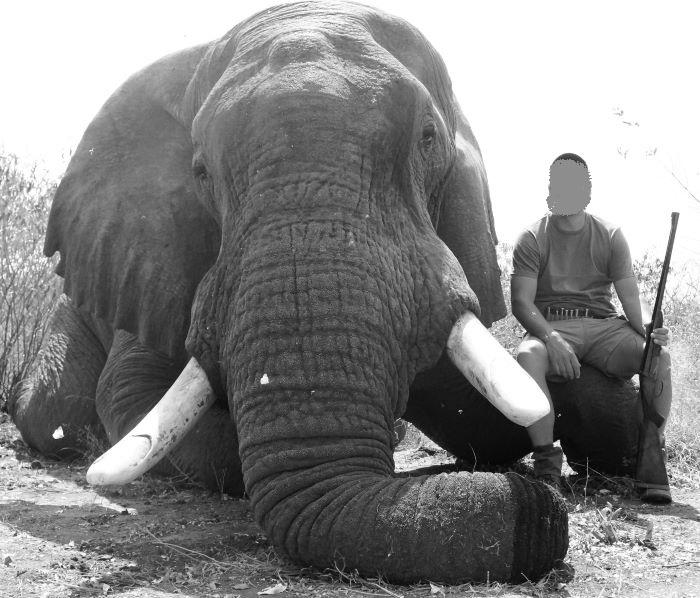 Leopard Hunting in Namibia & Brown Hyena Cancelation Hunt