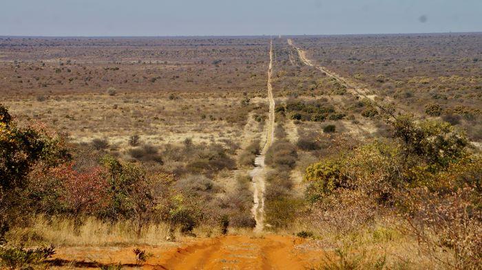 Leopard Hunting in Namibia & Brown Hyena Cancelation Hunt