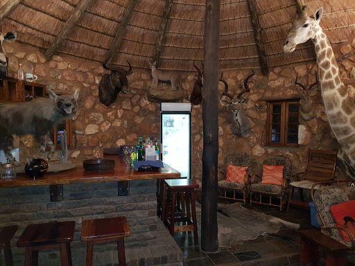 Leopard Hunting in Namibia & Brown Hyena Cancelation Hunt