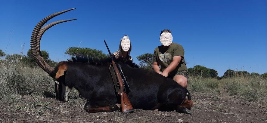 Hunting Safari in South Africa Sable & Roan Combination Hunt