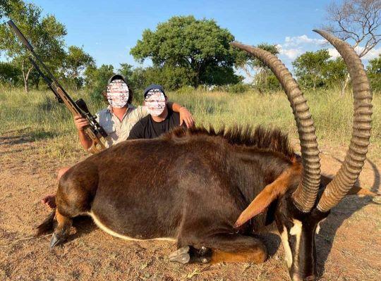 Leopard Hunting in Namibia & Brown Hyena Cancelation Hunt