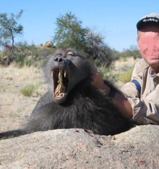 Leopard Hunting in Namibia & Brown Hyena Cancelation Hunt