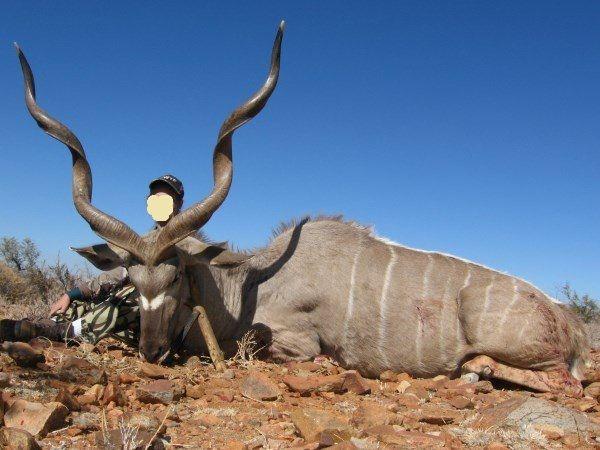 Leopard Hunting in Namibia & Brown Hyena Cancelation Hunt