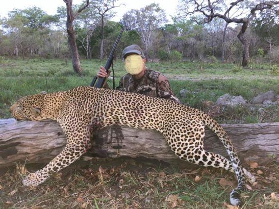Leopard Hunting in Namibia & Brown Hyena Cancelation Hunt