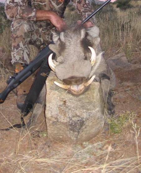 Leopard Hunting in Namibia & Brown Hyena Cancelation Hunt