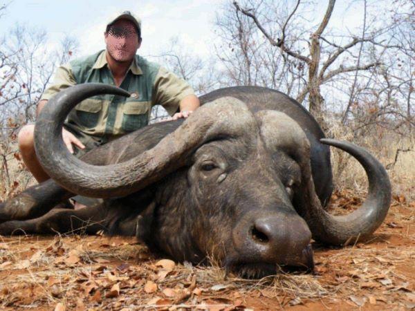 African Buffalo Hunt, Exotics and Plains Game Bonanza 