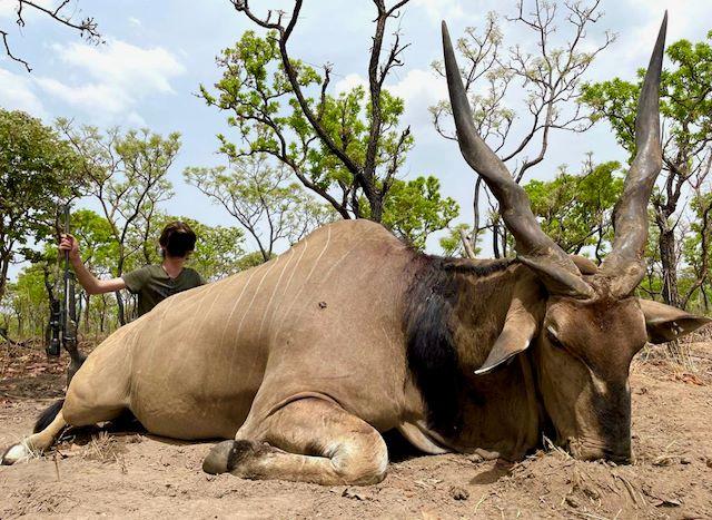 Leopard Hunting in Namibia & Brown Hyena Cancelation Hunt