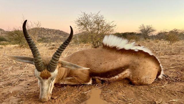 Leopard Hunting in Namibia & Brown Hyena Cancelation Hunt