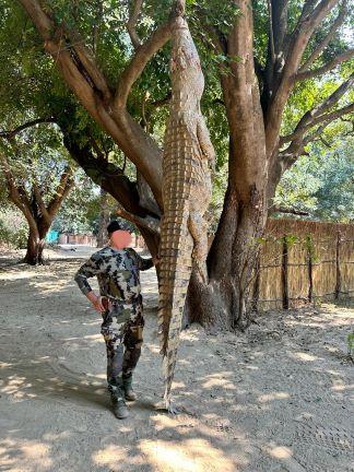 Leopard Hunting in Namibia & Brown Hyena Cancelation Hunt