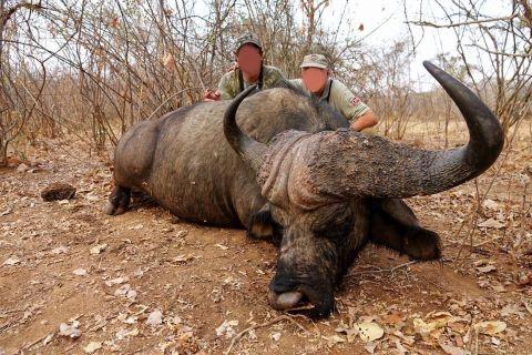 Cape Buffalo Hunt Zambezi Valley in Zambia 8 x Nights    
