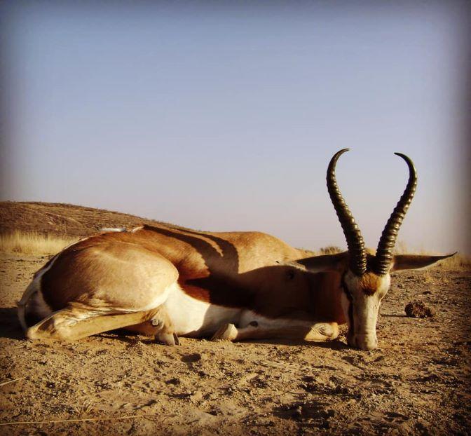 Leopard Hunting in Namibia & Brown Hyena Cancelation Hunt