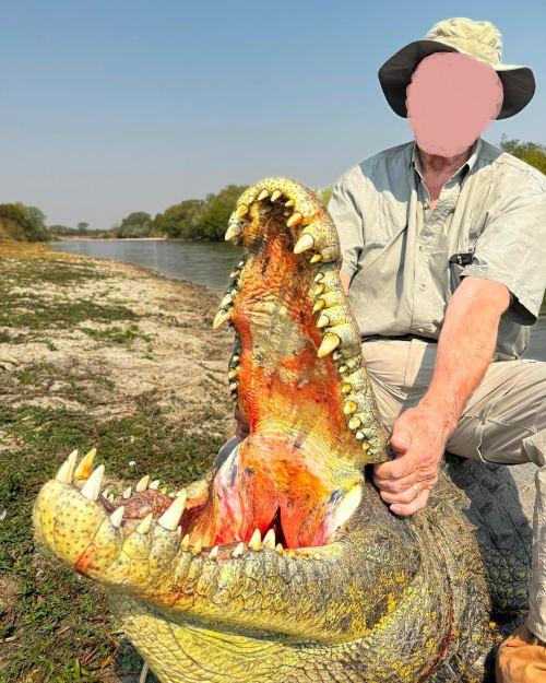 Leopard Hunting in Namibia & Brown Hyena Cancelation Hunt