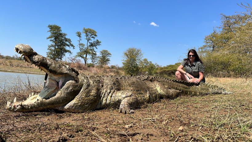 Trophy Crocodile Hunt, Zambezi Valley in Namibia  