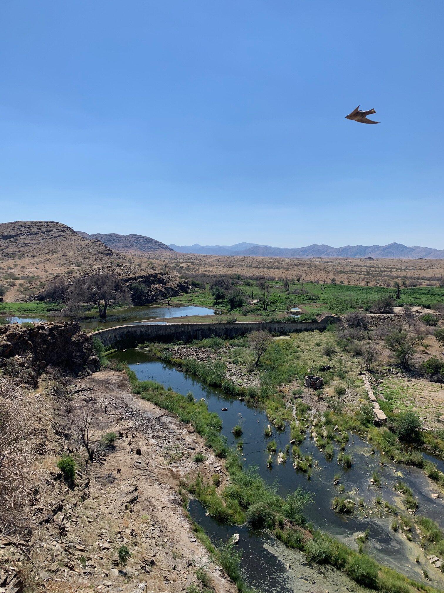 Leopard Hunting in Namibia & Brown Hyena Cancelation Hunt