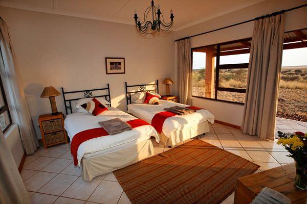 Leopard Hunting in Namibia & Brown Hyena Cancelation Hunt