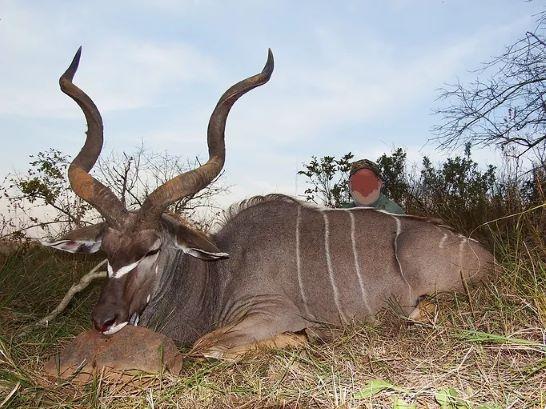 Leopard Hunting in Namibia & Brown Hyena Cancelation Hunt