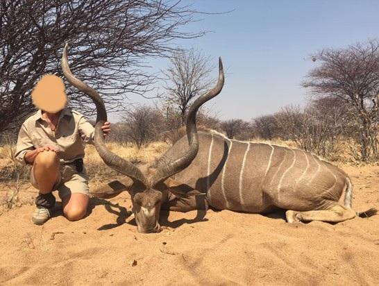 Leopard Hunting in Namibia & Brown Hyena Cancelation Hunt