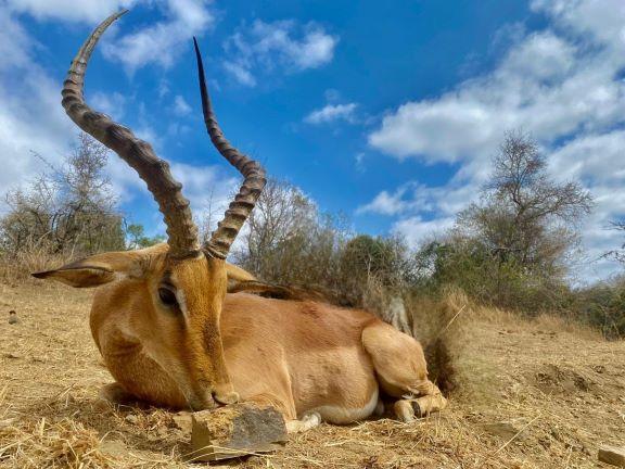 Leopard Hunting in Namibia & Brown Hyena Cancelation Hunt