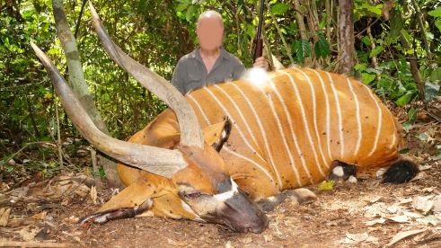 Leopard Hunting in Namibia & Brown Hyena Cancelation Hunt