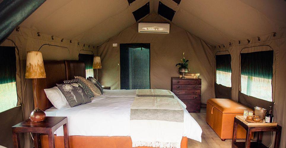 Leopard Hunting in Namibia & Brown Hyena Cancelation Hunt