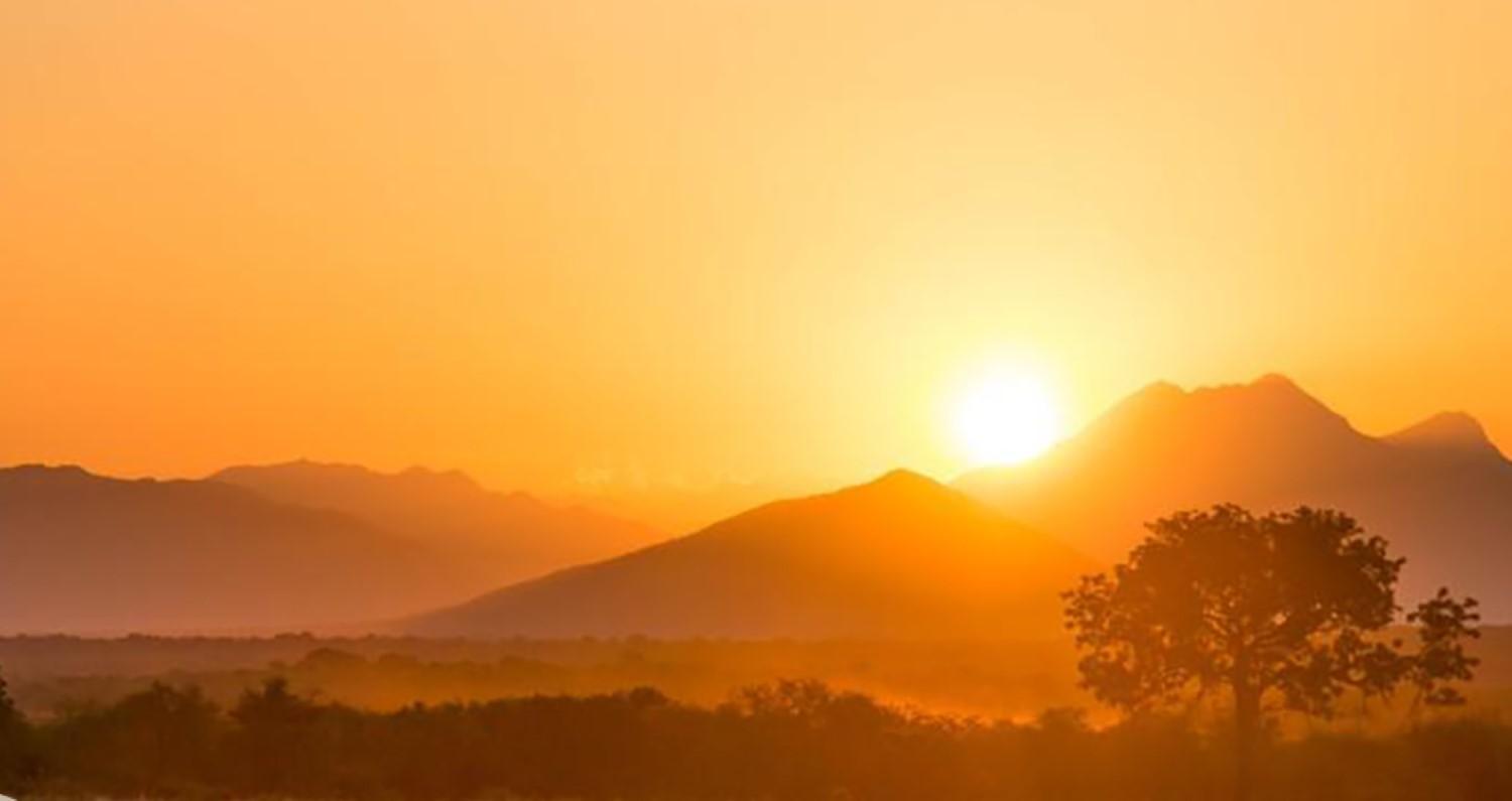 Leopard Hunting in Namibia & Brown Hyena Cancelation Hunt