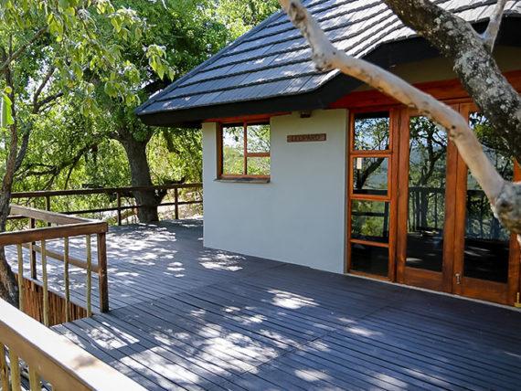 Leopard Hunting in Namibia & Brown Hyena Cancelation Hunt