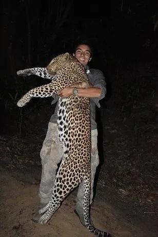 Leopard hunting in Moz, plus Sable & Niassa Wildebeest