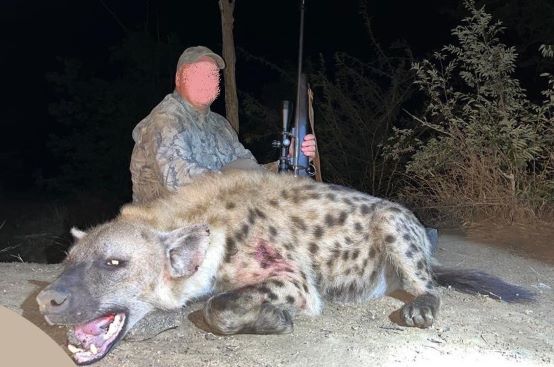 Leopard Hunting in Namibia & Brown Hyena Cancelation Hunt