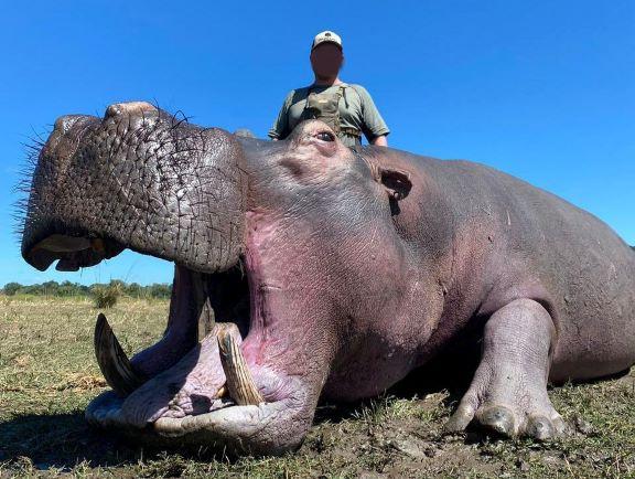 Hippo Hunting SA incl a Buffalo, Sable, Roan and 7 Species