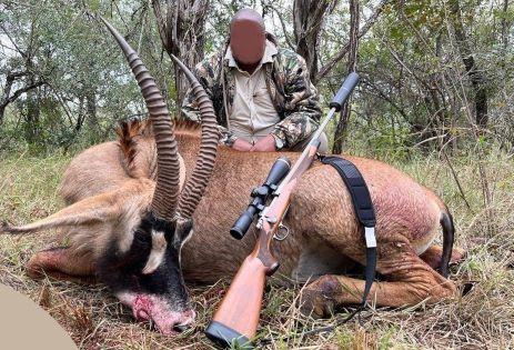 Leopard Hunting in Namibia & Brown Hyena Cancelation Hunt