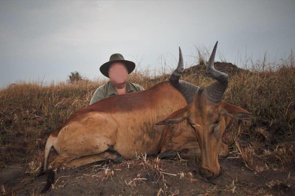 Leopard Hunting in Namibia & Brown Hyena Cancelation Hunt