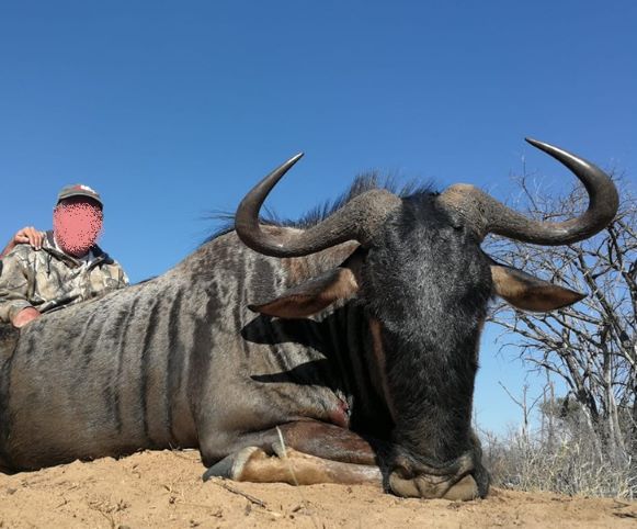 Leopard Hunting in Namibia & Brown Hyena Cancelation Hunt