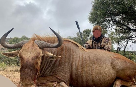 Plains Game Hunting in South Africa Day & Night Safari