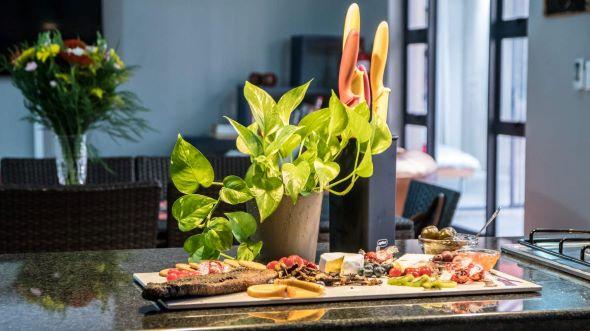 Leopard Hunting in Namibia & Brown Hyena Cancelation Hunt