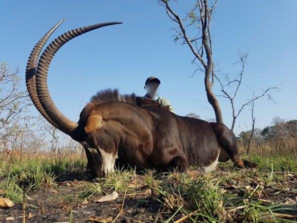 Royal Species Hunting in Zimbabwe 7 Days 1 x Hunter   