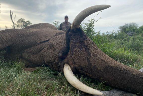 Leopard Hunting in Namibia & Brown Hyena Cancelation Hunt