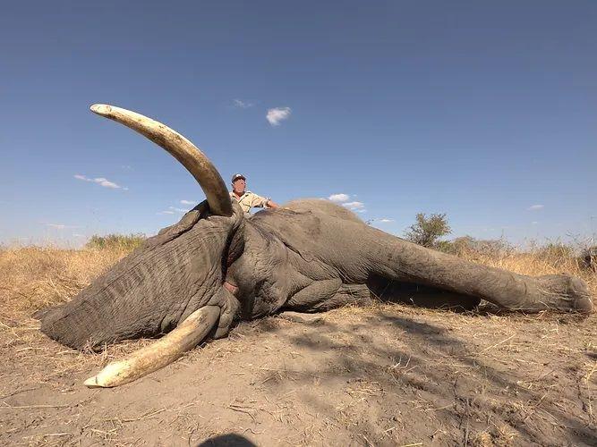 Leopard Hunting in Namibia & Brown Hyena Cancelation Hunt