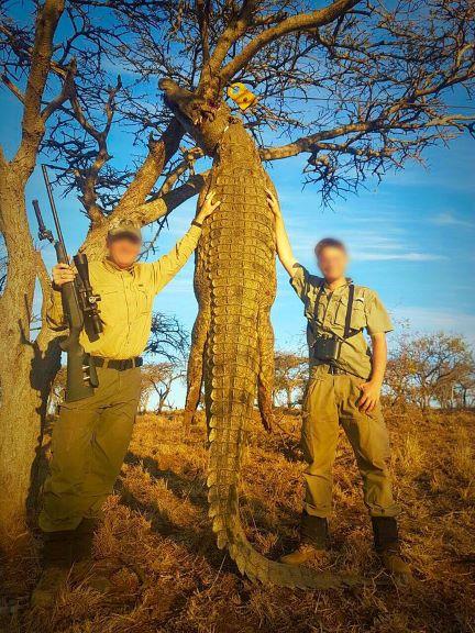 Free Range Crocodile Hunting Safari in Limpopo, SA
