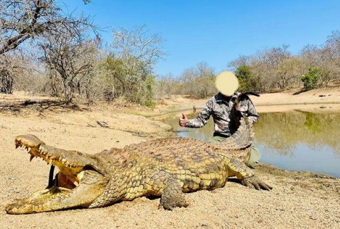 Leopard Hunting in Namibia & Brown Hyena Cancelation Hunt