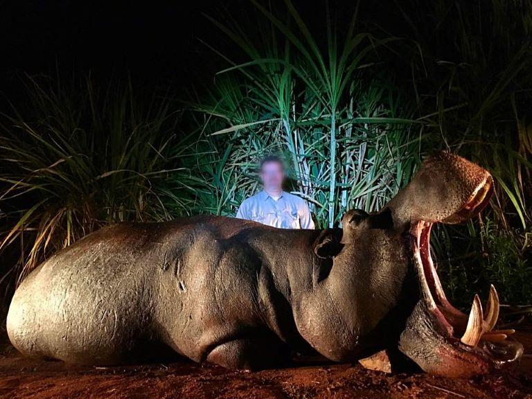 Leopard Hunting in Namibia & Brown Hyena Cancelation Hunt