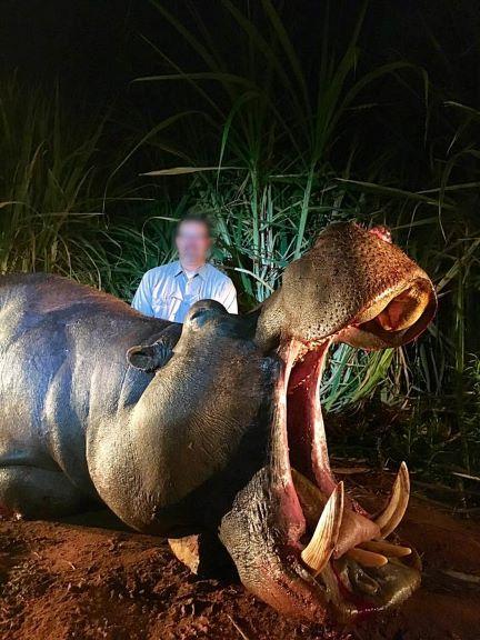 Leopard Hunting in Namibia & Brown Hyena Cancelation Hunt