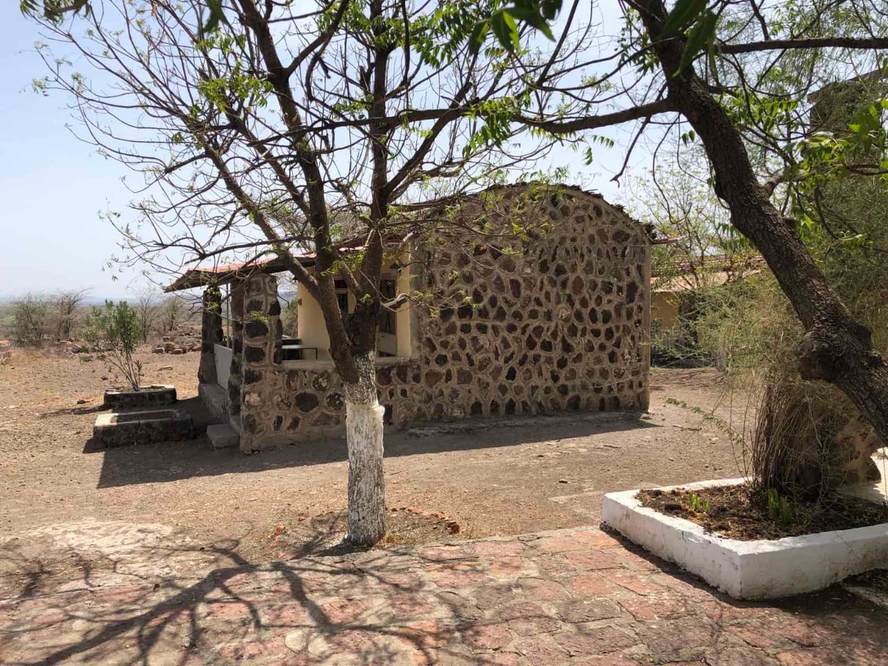 Leopard Hunting in Namibia & Brown Hyena Cancelation Hunt