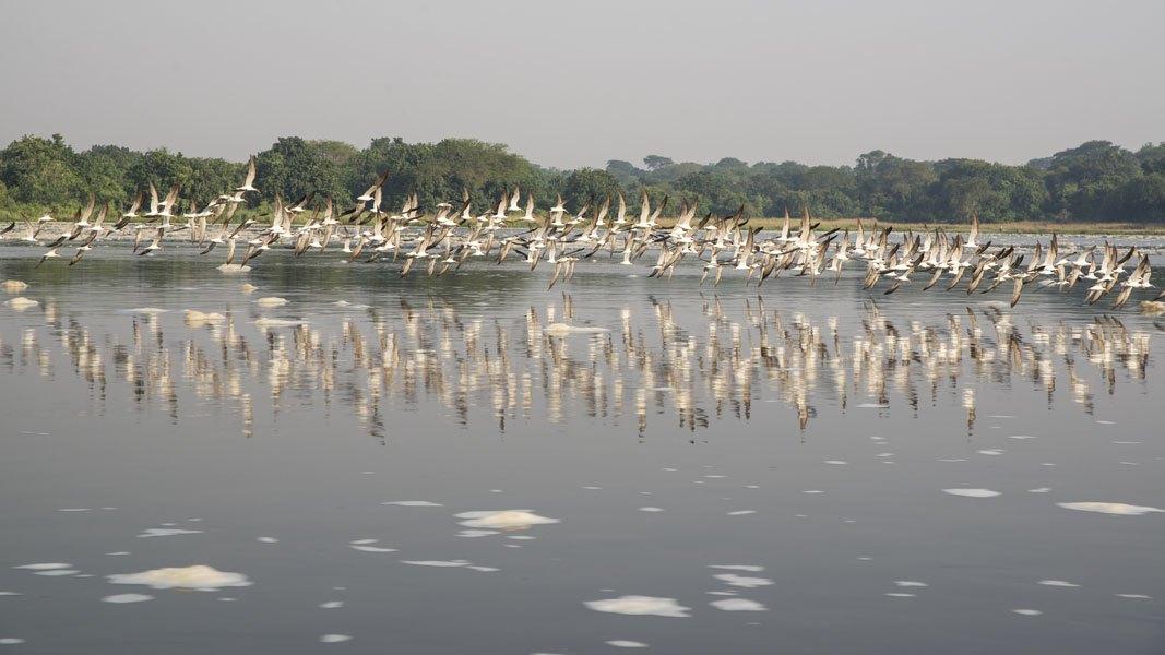 Leopard Hunting in Namibia & Brown Hyena Cancelation Hunt