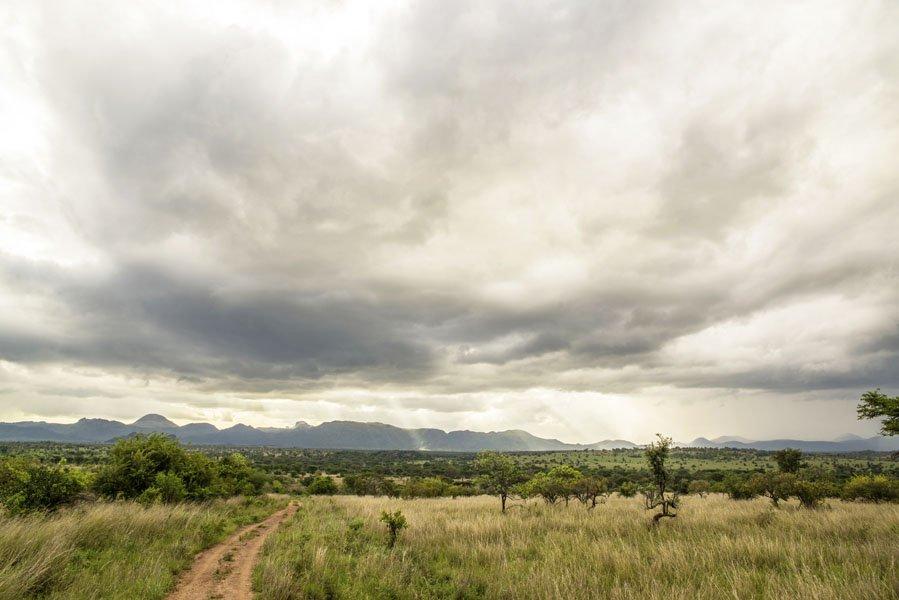 Leopard Hunting in Namibia & Brown Hyena Cancelation Hunt
